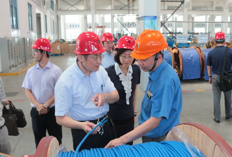 2016年7月22日，瀘州市委常委、副市長(zhǎng)王建翔一行來上上電纜參觀考察