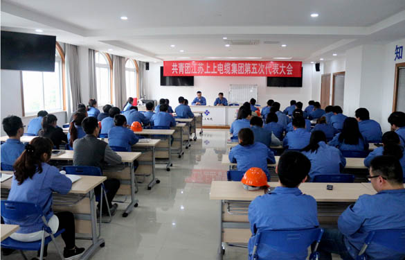 2016年4月20日，共青團(tuán)江蘇上上電纜集團(tuán)第五次代表大會(huì)召開