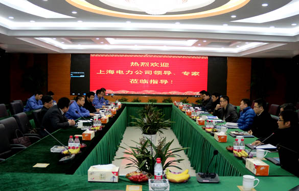 上海電力公司、上纜所領(lǐng)導(dǎo)、專家一行來上上電纜交流考察