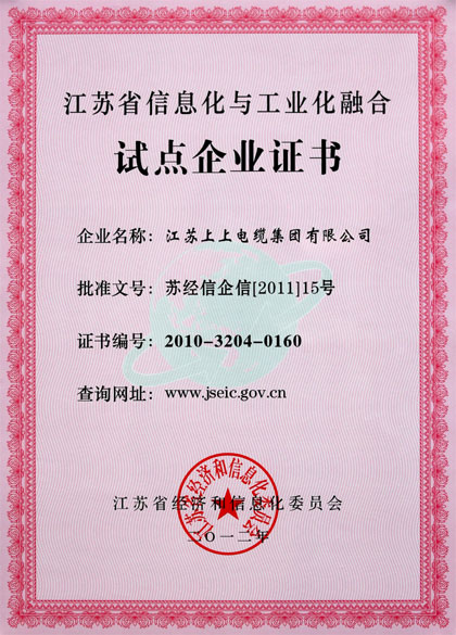 上上集團被評為“江蘇省信息化與工業(yè)化融合試點企業(yè)”