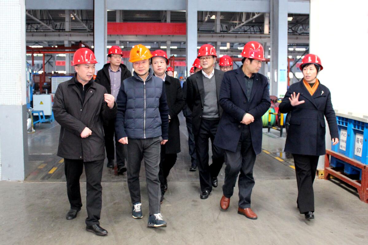 2019年3月7日，廣安市岳池縣考察團(tuán)來上上電纜參觀考察