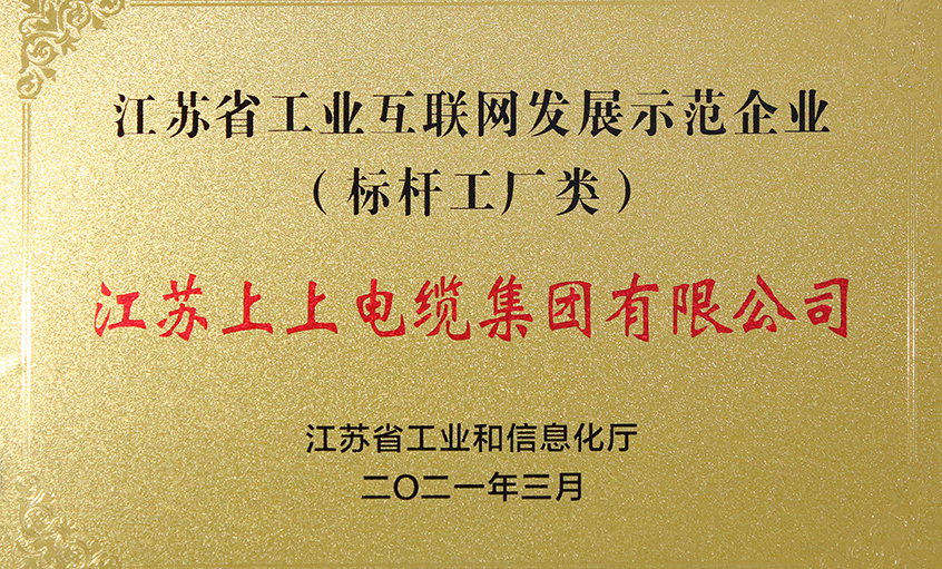 上上電纜獲評“江蘇省工業(yè)互聯(lián)網發(fā)展示范企業(yè)”
