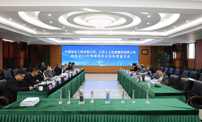 國際領(lǐng)先，上上電纜“核電站80年壽期核安全級電纜”通過國家級鑒定