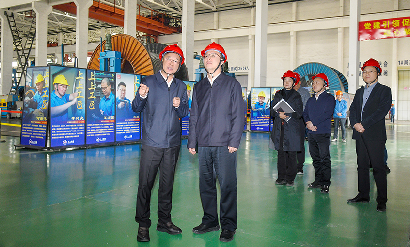 溧陽市委書記李超鯤來上上電纜調(diào)研